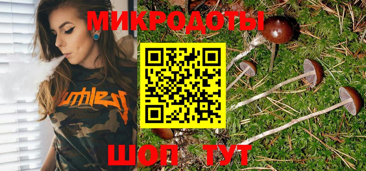 Галлюциногенные грибы прущие грибы  Псилоцибиновые грибы Magic Shrooms  Вход с VPN  Архангельск 